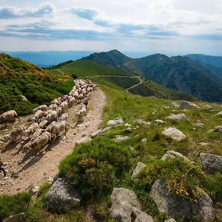 Des Monedes Panzió