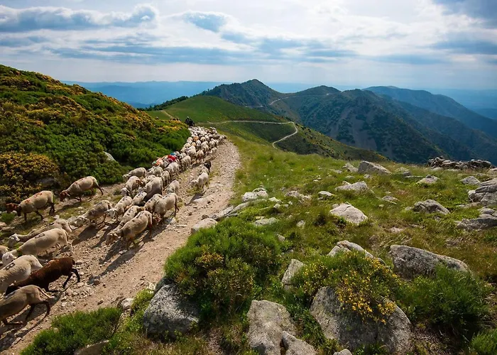 Des Monedes Panzió